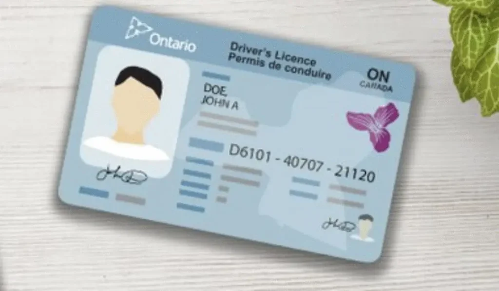 Professional assistance to renew drivers license online in Ontario from home.