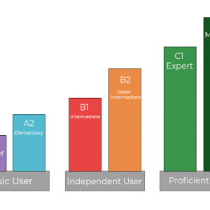 Improve Your IELTS Score with Expert Online Coaching